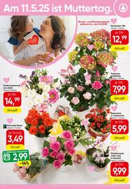 Spar Flugblatt Seite 16