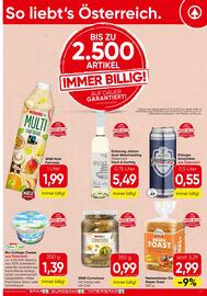 Spar Flugblatt Seite 21