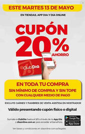 Catálogo Supermercados DIA semana 19 Página 6