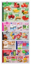 Value Grocer flyer Page 4