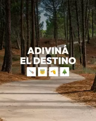 Catálogo Plataforma 10 (válido hasta 15-05)