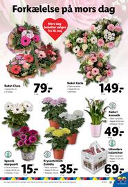 Lidl tilbudsavis uge 20 Side 17