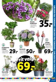 Lidl tilbudsavis uge 20 Side 33