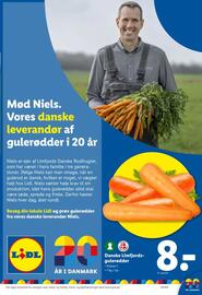 Lidl tilbudsavis uge 20 Side 36