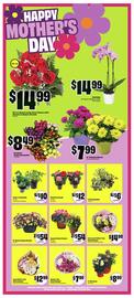 FreshCo flyer Page 6