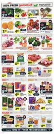 IGA flyer Page 4