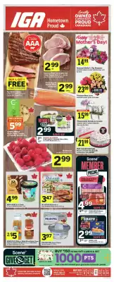 IGA flyer (valid until 31-07)