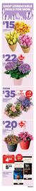 Independent Grocer flyer week 19 Page 1