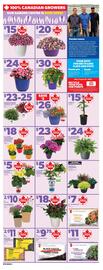Independent Grocer flyer week 19 Page 11