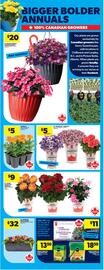 Real Canadian Superstore flyer week 19 Page 45