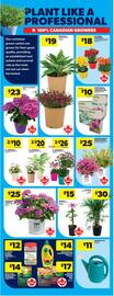 Real Canadian Superstore flyer week 19 Page 49