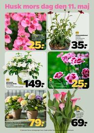 Netto tilbudsavis uge 19 Side 30