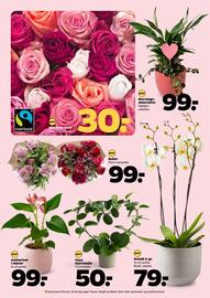 Netto tilbudsavis uge 19 Side 31