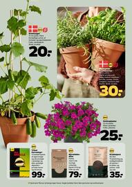 Netto tilbudsavis uge 19 Side 32