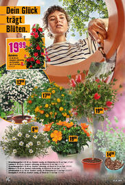 Hornbach Flugblatt Seite 10