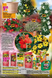 Hornbach Flugblatt Seite 11