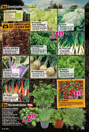 Hornbach Flugblatt Seite 5