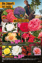 Hornbach Flugblatt Seite 6