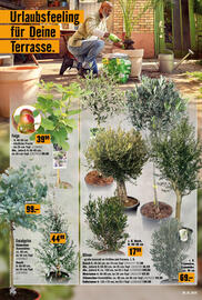 Hornbach Flugblatt Seite 8