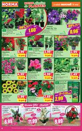 Catalogue Norma semaine 20 page 4