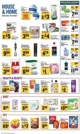 Food Lion Weekly Ad week 19 Page 13