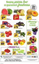 Food Lion Weekly Ad week 19 Page 15