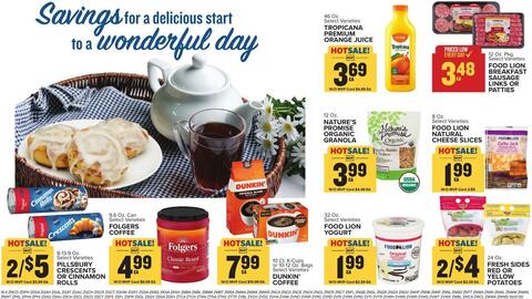 Food Lion Weekly Ad week 19 Page 17