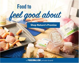Food Lion Weekly Ad week 19 Page 6