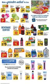 Food Lion Weekly Ad week 19 Page 9