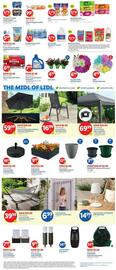 Lidl Weekly Ad week 19 Page 3
