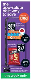 Food Basics flyer week 19 Page 13