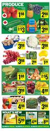 Food Basics flyer week 19 Page 16