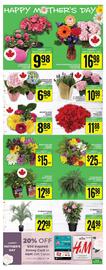 Food Basics flyer week 19 Page 21