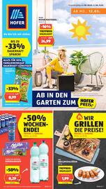Hofer Flugblatt woche 19 Seite 1