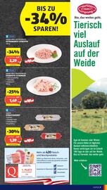 Hofer Flugblatt woche 19 Seite 9