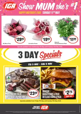 IGA catalogue (valid until 11-05)
