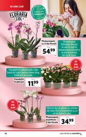 Catalog Lidl săptămâna 20 Pagină 66