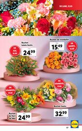 Catalog Lidl săptămâna 20 Pagină 67