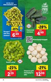 Catalog Lidl săptămâna 20 Pagină 74