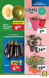 Catalog Lidl săptămâna 20 Pagină 75