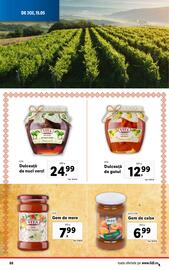 Catalog Lidl săptămâna 20 Pagină 88