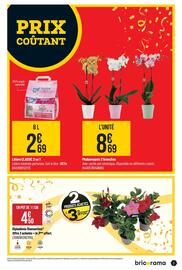 Catalogue Bricorama page 3