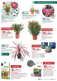 Catalogue Botanic page 3