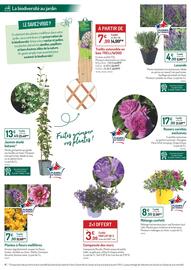 Catalogue Botanic page 4