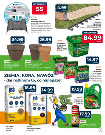 Mrówka gazetka Strona 3