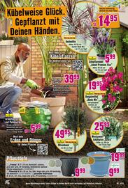 Hornbach Prospekt Seite 11