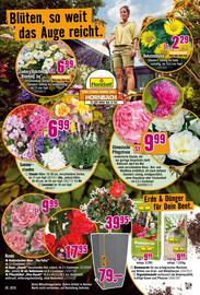 Hornbach Prospekt Seite 12