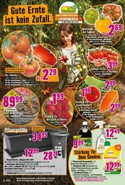 Hornbach Prospekt Seite 13