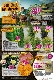 Hornbach Prospekt Seite 17