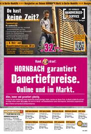 Hornbach Prospekt Seite 31